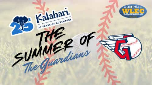 The Summer of the Guardians Slider Graphic